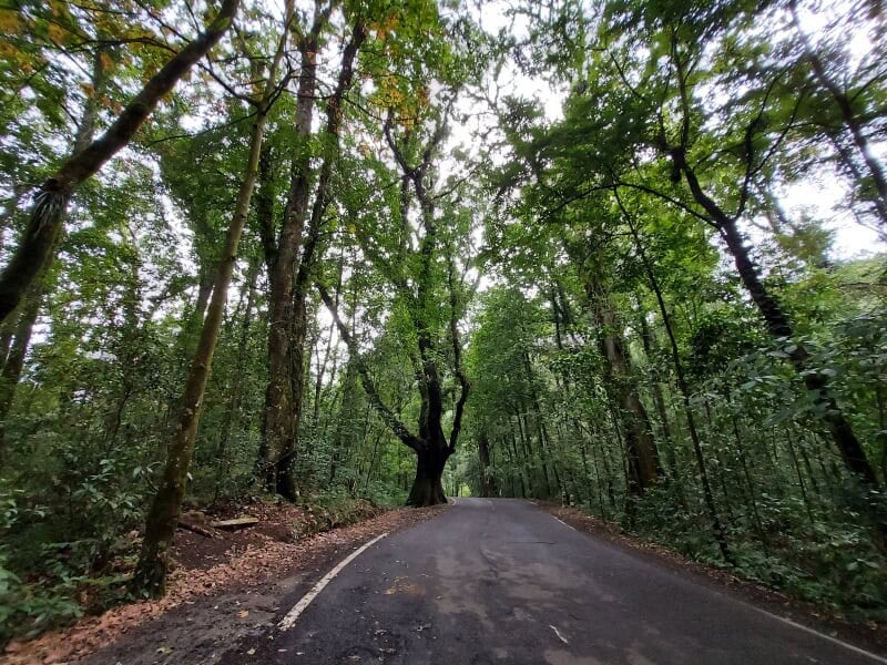 Tahura Raden Soerjo, Wisata Populer Jawa&nbsp;Timur