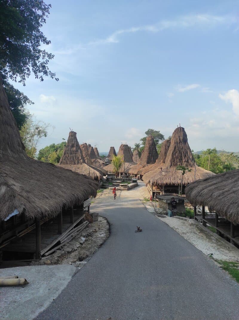 Kampung Prai Ijing, Deretan Rumah Adat Sumba Berbalut Edukasi Budaya