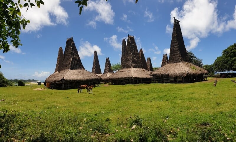 Desa Adat Ratenggaro, Eksplor Rumah Adat Ratenggaro dan Indahnya Alam Sumba