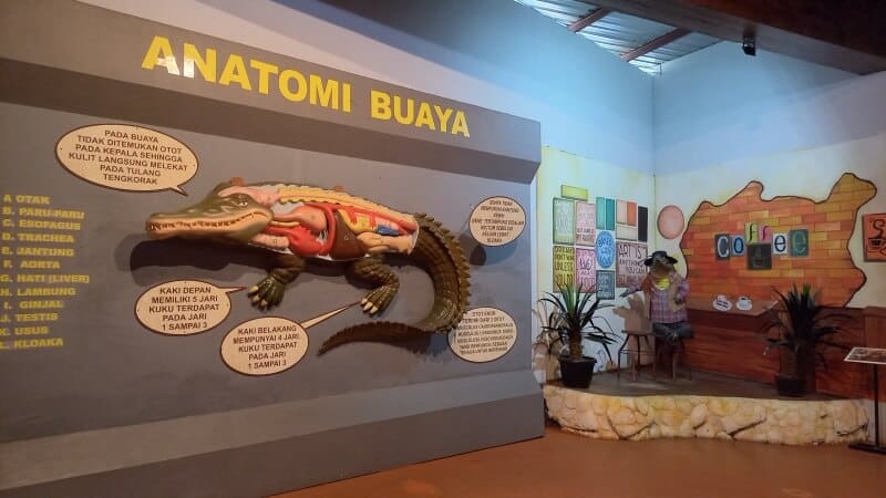 Predator Fun Park, Saat Sang Pemangsa Tampil Beda