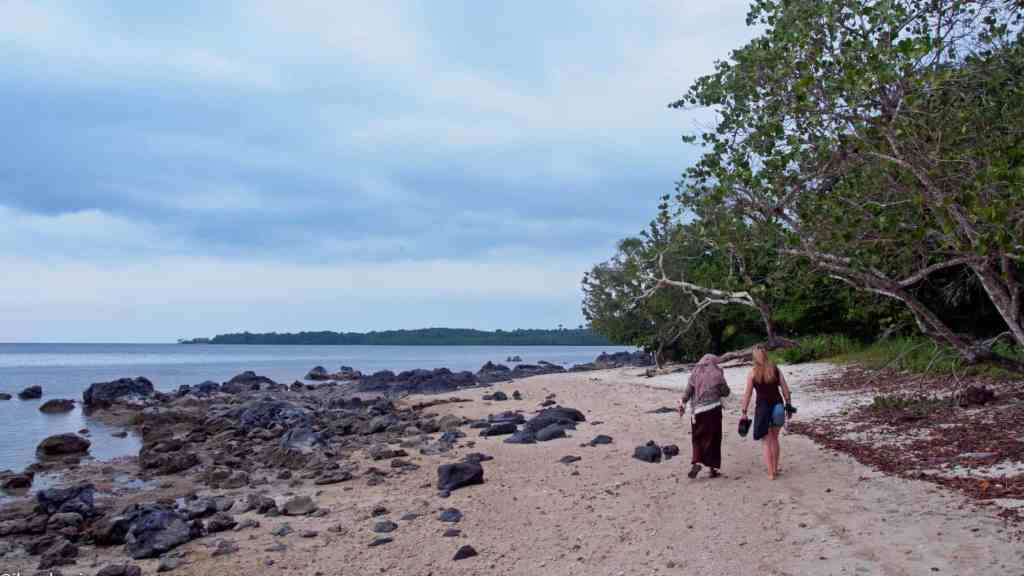 Pantai Batu Hitam, Pantai Indah Tersembunyi di TN Baluran&nbsp;Situbondo