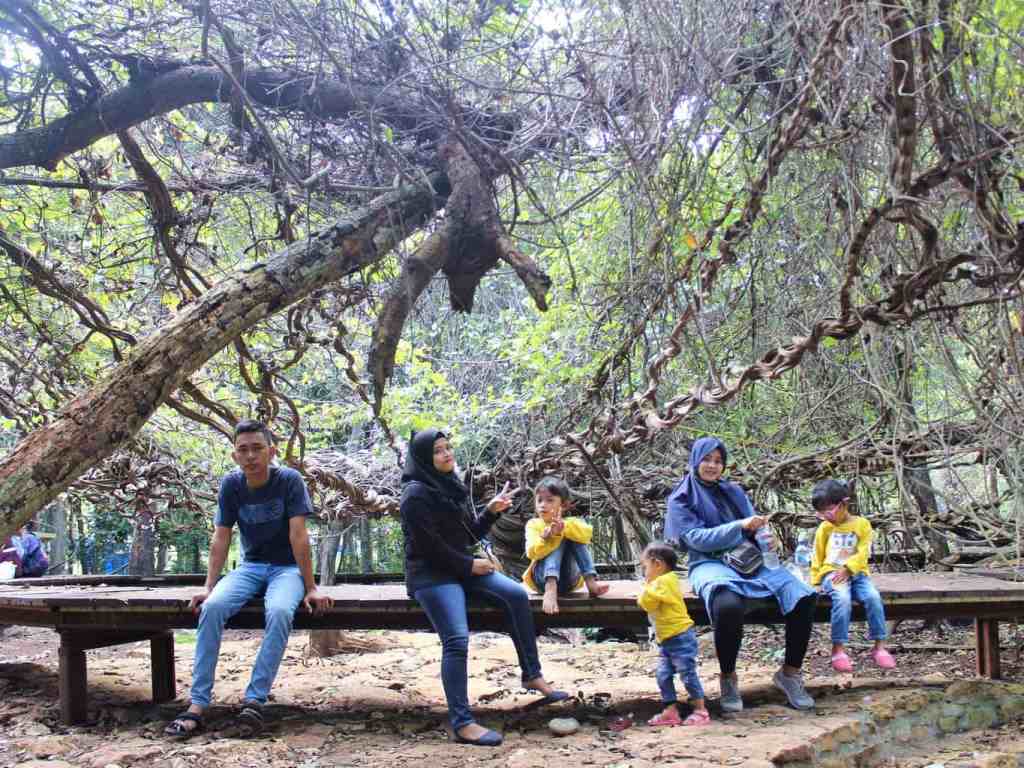 Wisata Akar Langit Trinil Lamongan, Dulu Sempat Menawan