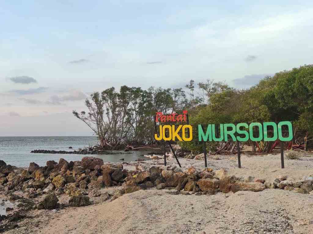 Suasana Tenang dan Sajian Pemandangan Alami di Pantai Joko Mursodo Lamongan