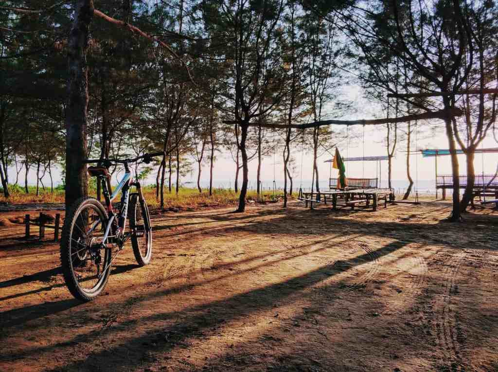 Pantai Cemara Tuban, Wisata Pantai dengan Deretan Pohon Cemara&nbsp;Teduh